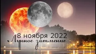 💫 Затмение 8 ноября 2022 года! Какие сферы жизни затронет: подробно для каждого знака зодиака