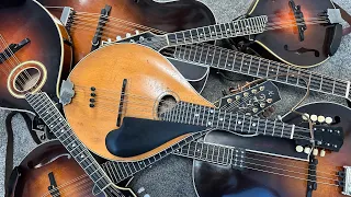 Explore the Mandolin Family! Mandola, Octave Mandolin, Mandocello, Tenor Guitar, Bouzouki, Etc!
