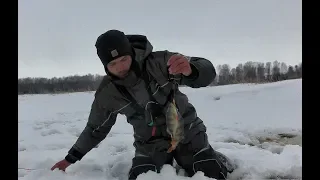 К ПОДПИСЧИКУ НА ЛЕСНОЙ ПРУД ЗА ОКУНЕМ!!Рыбалка не первый лед.балансир,безмотылка,Алтай.