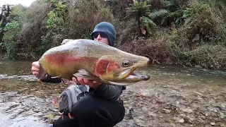 Fly fishing Rotorua nz season closing day