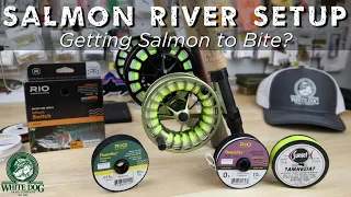 My Salmon River Setup - How I get Salmon to Bite... Sometimes