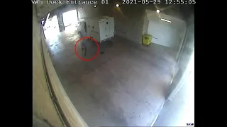 CCTV Shows Man Escaping From Prison Van in North Tyneside, England