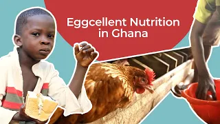 How Chickens End Hunger and Poverty in Ghana