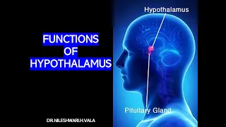 FUNCTIONS OF HYPOTHALAMUS PART - 2