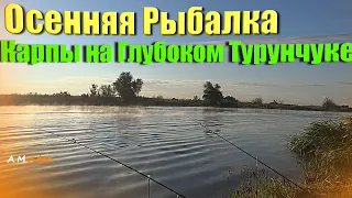 Осенняя Рыбалка в Маяках, Карпы  ( сазаны ) на Глубоком Турунчуке 20.09.2021.