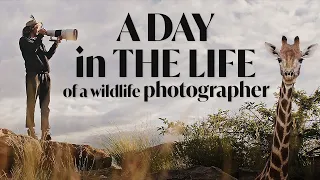 A Day in the Life of a Wildlife Photographer | In the Field with Donal Boyd