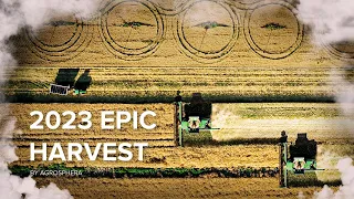 HARVEST 2023🌾🚜 Harvesting rapeseed and barley in Ukraine 🇺🇦