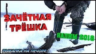 НАЛИМ 2018  УСТАНОВКА ПЕРЕМЁТОВ   РЫБАЛКА НА ПЕЧОРЕ  BURBOT 2018  CHECK THE BOTTOM GEAR