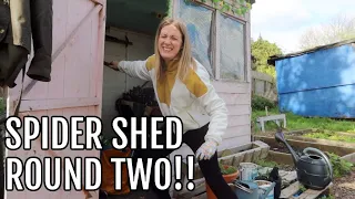 SPIDER SHED ROUND TWO! / ALLOTMENT GARDENING FOR BEGINNERS