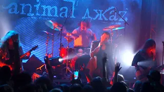 Animal ДжаZ "Ждать весны" (Самара.5.04.23)