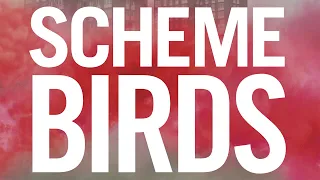 Scheme Birds   Trailer