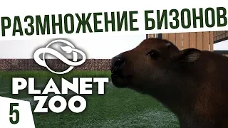 РАЗМНОЖЕНИЕ БИЗОНОВ! | #5 Planet Zoo