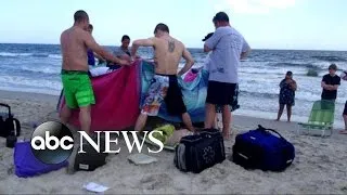 Shark Search Continues Following Violent Attacks on Teens