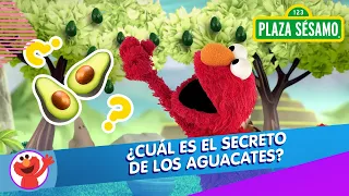 Plaza Sésamo: La aventura del guacamole | El musical de Elmo