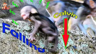 God Help, Poor Calvin Cry Falling Down, Pity Calvin Extremely Hurt fall from High place.