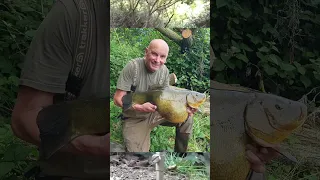 He nearly beat the British Record #Tench