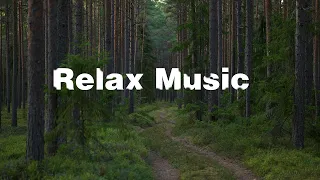 "Melodic Bliss: Hang Drum, Flute, and Vocals for a Soothing Escape 🍀Shofik-Nature