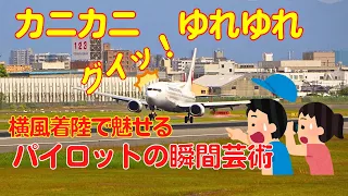 [Osaka Itami Airport] Pilot's momentary art: Landing an airplane during strong crosswinds