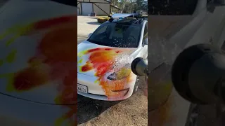 Tesla Paint Removal #shorts