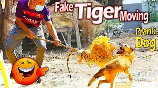 Fake Tiger Moving vs Prank Sleeping Dog Very Funny With Surprise Scared Reaction - Try Not To Laugh