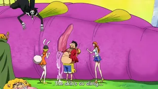 Luffy Eats the Skin of a Poisonous Fish | One Piece