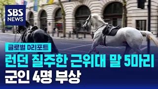 영국 근위대 말 5마리 런던 도심 질주…4명 부상 / SBS / #D리포트