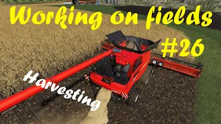 Harvesting / Bailing / Stacking Bales - Working on fields #26 - FS19 Timelapse