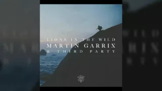 Martín Garrix & Third Party - Lions in the wild
