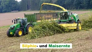 Silphie- und Maisernte | Reportage | NusserNeueEnergie