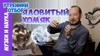 Ядовитый хомяк. Игорь Фадеев