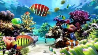 Dream Aquarium Relaxing Fish Tank For Focus | Water Sounds Only No Music | 3 Hours