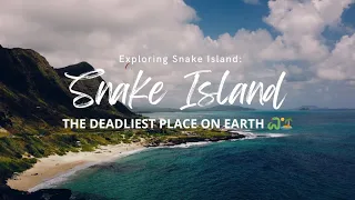 Exploring Snake Island: The Deadliest Place on Earth 🐍🏝️