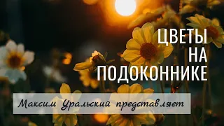 Цветы на подоконнике. Слова: Сергей Есенин, музыка: Максим Уральский