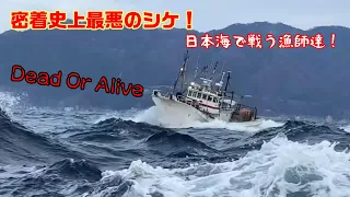 【正に命がけ❕】荒れ狂う日本海に挑む蟹船団！【越前漁港の漁師達】