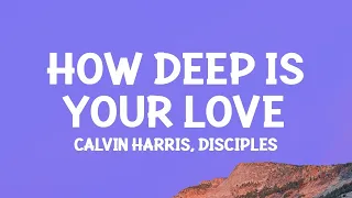 Calvin Harris & Disciples - How Deep Is Your Love (Lyrics) / 1 hour Lyrics