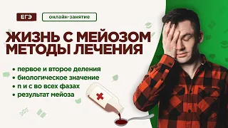 Жизнь с МЕЙОЗОМ | ЕГЭ Биология | Даниил Дарвин