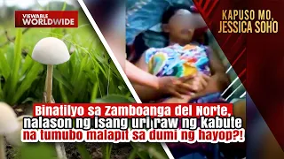 Binatilyo, nalason matapos kumain ng isang klase ng kabute | Kapuso Mo, Jessica Soho