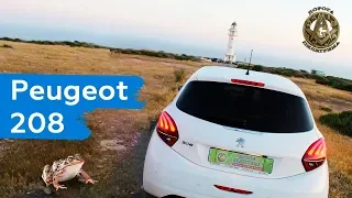 ЩЕГОЛ пежо 208, 2019. Шнырь Peugeot 208.