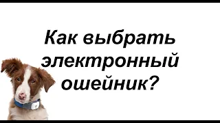 Как выбрать электронный ошейник антилай