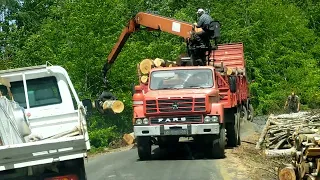 Orman'da Ağaç 🌲 Tomruklarını Kamyona Yükleme