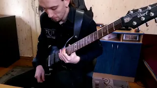 The ghost and the reaper - The dark element cover (7-string standart tuning)