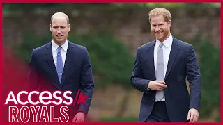 Why Prince Harry & Prince William Skipped Speeches At Diana Statue Reveal