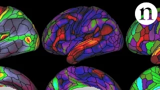 The ultimate brain map