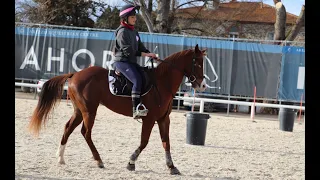 CHIARA e MISTER - 1° Tappa Trofeo 4 Regioni 2024