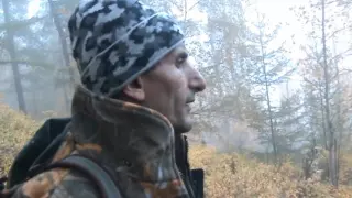 Maral hunting in Central Siberia