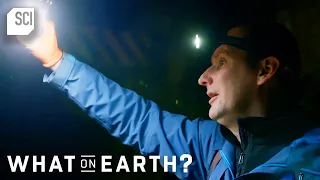 This Secret Cold War Base Was Used to House Nuclear Missiles?! | What on Earth | Science Channel