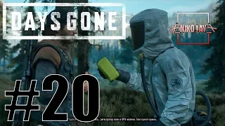 Days Gone [Жизнь после] прохождение #20 [Без комментариев]