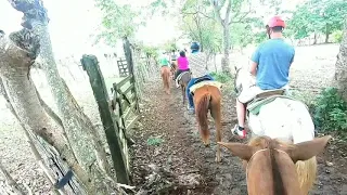 Excellent Horseback Riding Punta Cana