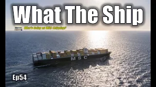 What the Ship (Ep54) | Freight Rates | River Levels | Offshore Wind | COVID & Princess Cruises