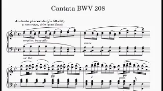 Bach - Cantata BWV 208